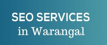 SEO agency in Warangal, SEO consultant in Warangal, SEO packages in Warangal